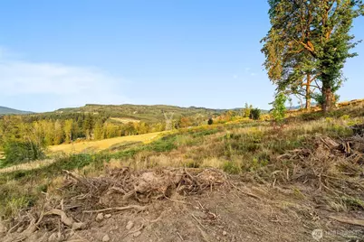 391 Brook Valley Road, Kelso, WA 98626 - Photo 15
