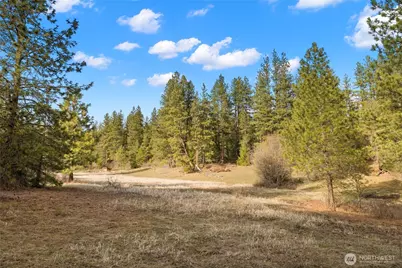 672 Forest Ridge Dr., Cle Elum, WA 98922 - Photo 7