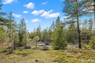 672 Forest Ridge Dr., Cle Elum, WA 98922 - Photo 5
