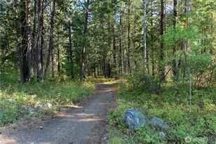 9 Deer Run Loop Rd, Winthrop, WA 98856 - Photo 33