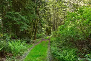 27525 W Lake Riley Rd, Arlington, WA 98223 - Photo 35