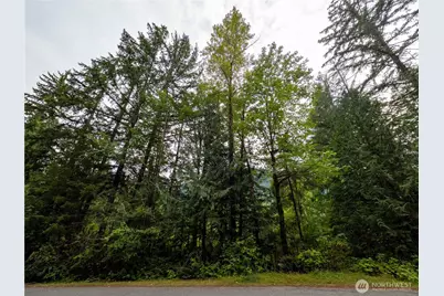 7449 Miller Way, Glacier, WA 98244 - Photo 3