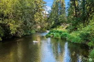 13836 166th Ave SE, Rainier, WA 98576 - Photo 37