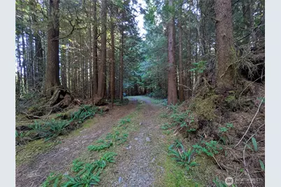 0 Lot 8 Riverbend Road, Forks, WA 98331 - Photo 27