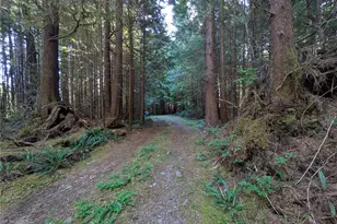 0 Lot 8 Riverbend Rd, Forks, WA 98331 - Photo 27