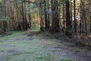0 Lot 8 Riverbend Rd, Forks, WA 98331 - Photo 29