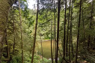 0 Lot 8 Riverbend Rd, Forks, WA 98331 - Photo 31