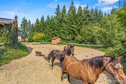 891 Young Road, Kelso, WA 98626 - Photo 27
