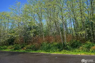 821 Duck Lake Dr NE, Ocean Shores, WA 89569 - Photo 1