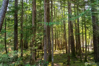 30 N Mt Jupiter Place, Hoodsport, WA 98548 - Photo 23
