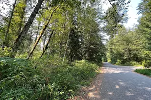 7521 Olsen Dr, Glacier, WA 98244 - Photo 1