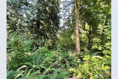 7521 Olsen Drive, Glacier, WA 98244 - Photo 3