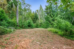 2190 W Cushman Ridge Dr, Hoodsport, WA 98563 - Photo 35