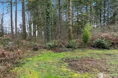 151 NE Deerwood Drive, Belfair, WA 98528 - Photo 13