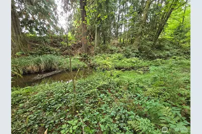 162 South Bank Road, Elma, WA 98541 - Photo 9