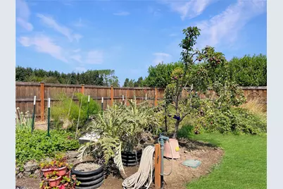 241 Jake Way, Sequim, WA 98382 - Photo 9