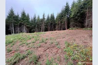 1161 Thimbleberry Drive, Castle Rock, WA 98611 - Photo 7
