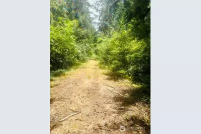 33414 68th Avenue S, Roy, WA 98580 - Photo 5