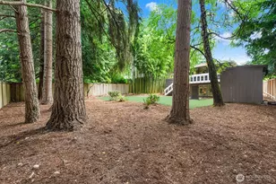 11045 Alton Ave NE, Seattle, WA 98125 - Photo 11
