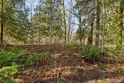 41971 Cedar Street, Concrete, WA 98237 - Photo 27
