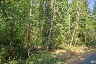 10114 Selma Cir, Anderson Island, WA 98303 - Photo 1