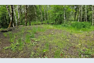 136 Peppermill Drive, Kelso, WA 98626 - Photo 7