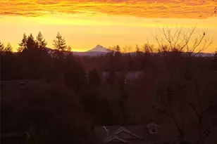 1247 E Pioneer Loop, La Center, WA 98629 - Photo 21