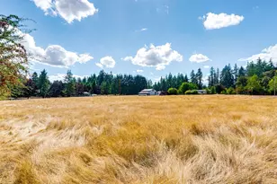 19313 NE 139th St, Brush Prairie, WA 98606 - Photo 31