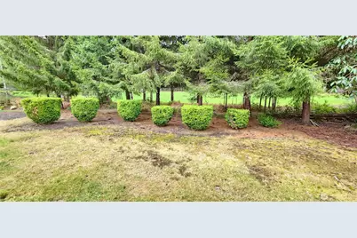 280 E Shamrock Drive, Shelton, WA 98584 - Photo 19
