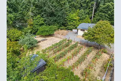 825 Jewil Drive, Fox Island, WA 98333 - Photo 25