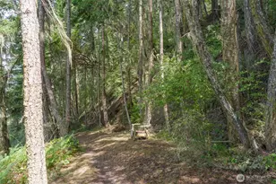 1602 Channel Rd, Lopez Island, WA 98261 - Photo 13