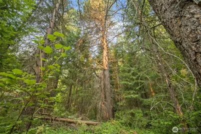 2 Oakmont, Cle Elum, WA 98922 - Photo 7