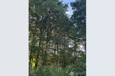 1403 State Rt 105, Grayland, WA 98547 - Photo 3