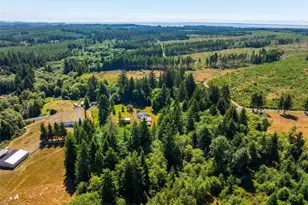 82 Chenois Valley Rd, Hoquiam, WA 98550 - Photo 33