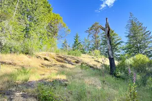 311130 US Hwy 101, Brinnon, WA 98320 - Photo 1