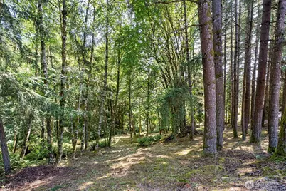 168 Upland Drive, Woodland, WA 98674 - Photo 5