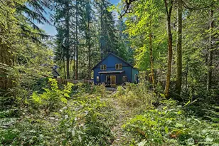 31219 555th St E, Ashford, WA 98304 - Photo 29