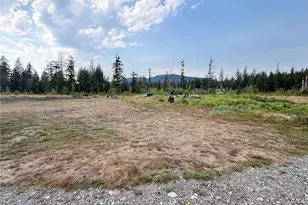 6485 S Pass Rd, Maple Falls, WA 98266 - Photo 1