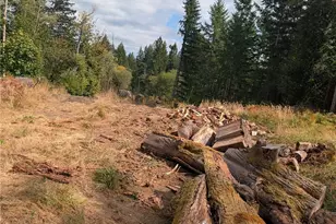 14120 Englund Ln SW, Tenino, WA 98589 - Photo 33