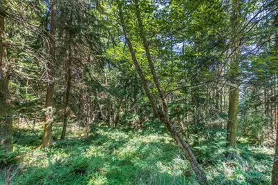 0 Pioneer Hill Road, Orcas Island, WA 98245 - Photo 19