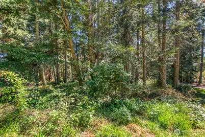 0 Pioneer Hill Road, Orcas Island, WA 98245 - Photo 7
