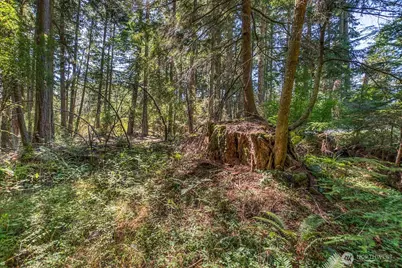 0 Pioneer Hill Road, Orcas Island, WA 98245 - Photo 17