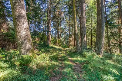 0 Pioneer Hill Road, Orcas Island, WA 98245 - Photo 9