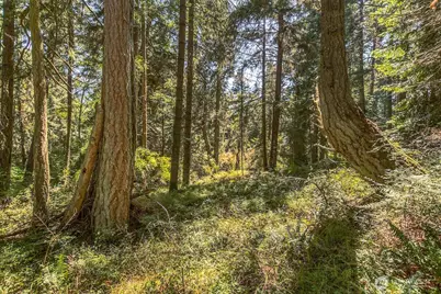 0 Pioneer Hill Road, Orcas Island, WA 98245 - Photo 13