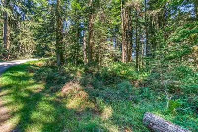 0 Pioneer Hill Road, Orcas Island, WA 98245 - Photo 5