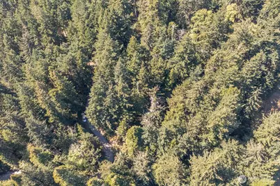 0 Pioneer Hill Road, Orcas Island, WA 98245 - Photo 25