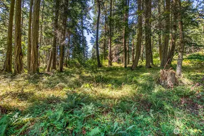 0 Pioneer Hill Road, Orcas Island, WA 98245 - Photo 15