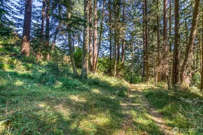 0 Pioneer Hill Road, Orcas Island, WA 98245 - Photo 11