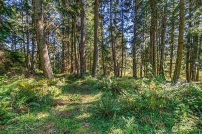 0 Pioneer Hill Road, Orcas Island, WA 98245 - Photo 1