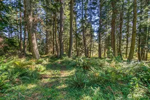 0 Pioneer Hill Rd, Orcas Island, WA 98245 - Photo 1